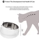 thumbnail image 3 of Piezas Cuencos para gatos Cuenco de alimentación para gatos con inclinación de 15° Cuenco de agua para gatos Cuenco de acero inoxidable Cuenco multifuncional para gatos 400ML+200ML, 3 of 5