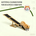 thumbnail image 3 of Dog Agility Seesaw Wooden Pet Training Equipment for Outdoor Indoor Use  Anti Slip, 3 of 8