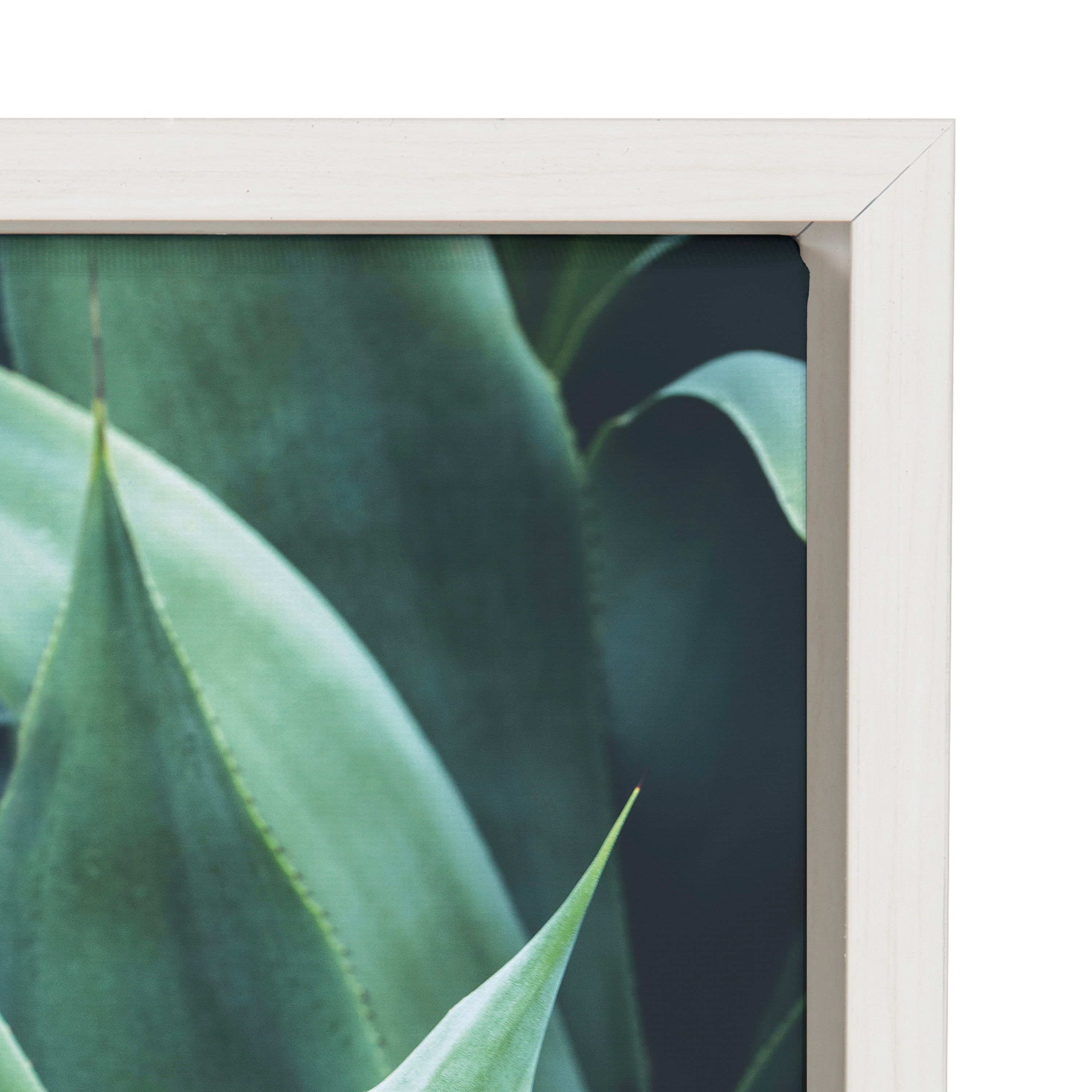 Kate and Laurel Sylvie Agave II Framed Canvas Art Print, 23" x 33", byF2 Images