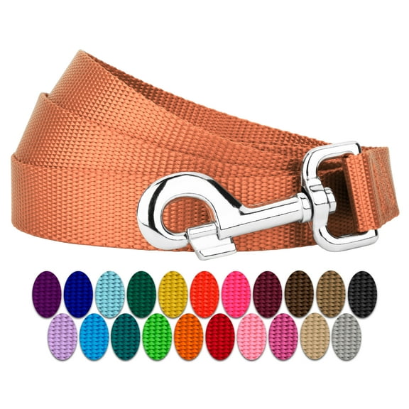 Country Brook Petz® 1 inch Nylon Dog Leash - Coral, 6 Foot