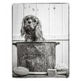 thumbnail image 3 of Fielding, Edward M. 12x14 Black Modern Framed Museum Art Print Titled - Vintage Puppy Bath, 3 of 5