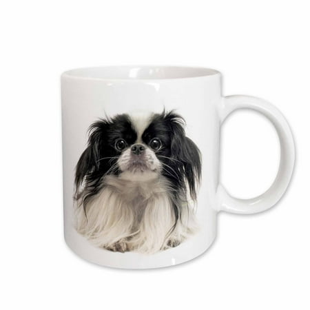 

3dRose Pekinese Ceramic Mug 15-ounce