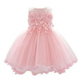 thumbnail image 6 of Povozer Baby Girls Princess Dress Flower Lace Dress Toddler Tulle Sleeveless Dress(Pink,3-6M), 6 of 6