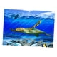 thumbnail image 1 of 3D Acuario Paisaje Póster  Vivarium Fondo Tortuga L Zulema Foto de fondo del tanque de peces, 1 of 8