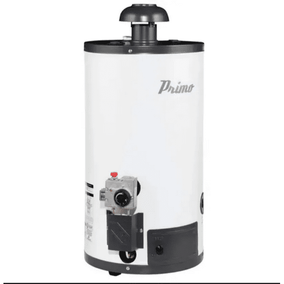 Calentador Deposito Gas Lp 40Lt Alta/Baja Presión Piezoeléctrico