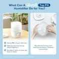 thumbnail image 6 of LEVOIT Bedroom Top Fill Humidifier, 2.5L Water Tank for Large Rooms, Easy to Fill and Clean, 28 dB Silent Cool Mist Air Humidifier for Home Baby Nursery and Plants, 6 of 7