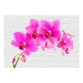 thumbnail image 3 of Tiptophomedecor Floral Wallpaper Wall Mural - Pink Excitation, 3 of 4