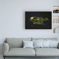 thumbnail image 3 of Trademark Fine Art 'Water Lily in the Sun' Canvas Art by Kurt Shaffer Photographs, 3 of 3