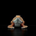 thumbnail image 2 of 46cm Simulation Pogona Vitticeps Lguana Lizard Cute Realistic Stuffed Plush Toy Soft Agamidae Animals Doll Model For Kids Gifts Tw, 2 of 5