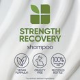 thumbnail image 4 of BIOLAGE Shampooing, Shampooing de Récupération de Force pour Cheveux Abîmés, Nettoie en Douceur et Réduit la Casse, pour Tous les Types de Cheveux Abîmés et Sensibilisés, Remplace la Dose de Kératine et la Fibres Fortes, Végé, 4 of 8