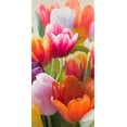thumbnail image 2 of Villa, Luca 11x18 Black Ornate Wood Framed with Double Matting Museum Art Print Titled - Spring Tulips II, 2 of 4