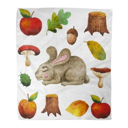 - LADDKE Throw Blanket Warm Cozy Print Flannel Very Nice Cute Watercolor Cartoon Fox on Stump Crop Rabbit Leaf Apple Comfortable Soft for Bed Sofa and Couch 50x60 Inches