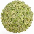 thumbnail image 5 of Small Pet Select- Pea Flakes, 1lb, 5 of 5