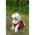thumbnail image 4 of Pets First College Iowa State Cyclones Cheerleader, 3 Sizes Pet Dress Available. Licensed Dog Outfit, 4 of 6