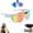 white Colorful lenses B, variant on 4K HD Video Camera Baseball Glasses with Camera POV Pro Sports Glasses Recording Action Cameras Sunglasses 2026 Upgrade Smart Video Recording Glasses for Action Sports with Memory (White A)