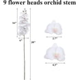 thumbnail image 5 of Artificial Orchid Stems Real Touch Orchid 38 inch Tall Fake Butterfly Phalaenopsis Flower for Vase Home Wedding Decoration, 5 of 6