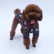 thumbnail image 4 of Liquidación del Día de la Madre de Jacenvly 2020, ropa para mascotas para Navidad y Año Nuevo, ropa para perros y mascotas, regalos para el Día de la Madre para mujeres, hombres, mamás, niñas, niños, 4 of 5