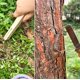 thumbnail image 5 of Mejor herramienta de deshierba de jardín de mano - Rastrillo triangular de doble cara para aflojar el suelo, eliminar malas hierbas y raspar corteza en huertos, 5 of 6