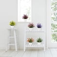 thumbnail image 2 of Artificial Small Plant 6pcs Fake Flower Potted Plant Bathroom for Indoor Decor Window Tabletop Office Colorful, 2 of 7