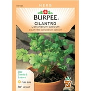 Burpee-Cilantro (Coriander) Seed Packet