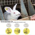 thumbnail image 4 of Lot de 100 étiquettes d'oreille de lapin, numéro de chien, marqueur d'oreille, carte d'identification, gestion des informations, 4 of 4