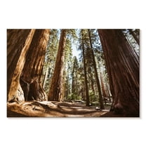 Elephant Stock Summer In Sequoia Park Wall Art - Horizontal Canvas Wall Art - Living Room Wall Decor - Floral And Botanical Canvas - Brown And Beige Decor - 24" x 16"