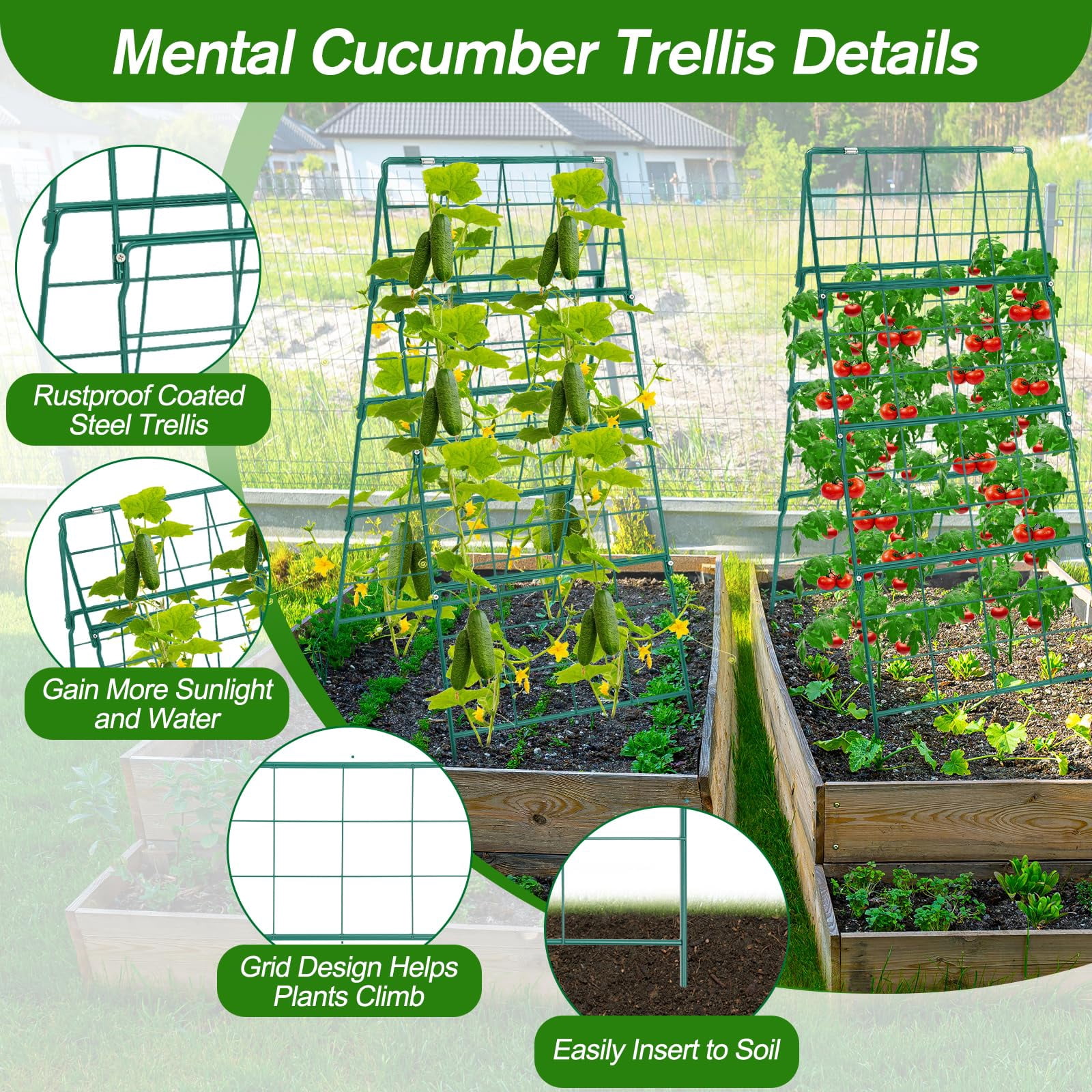 Cucumber Trellis For Raised Bed A Frame Metal Garden Climbing Plants Outdoor  42 X 16in Foldable Coated Steel Cucumbers Trelli Easy To Install Vegetable Fruit