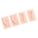 thumbnail image 1 of 2 Pcs Modelo de Oreja Izquierda Derecha Accesorio Salud atención Personal, 1 of 9