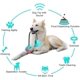 thumbnail image 4 of Dog Toy Ball,Suction Cup Dog Toy,Puppy Treat ball,Pet Molar Bite Toy,Pet Chew Ball, 4 of 5