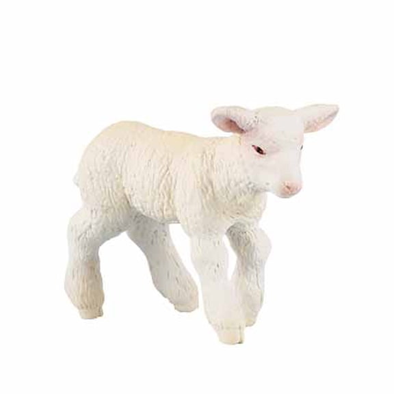 Merinos Lamb