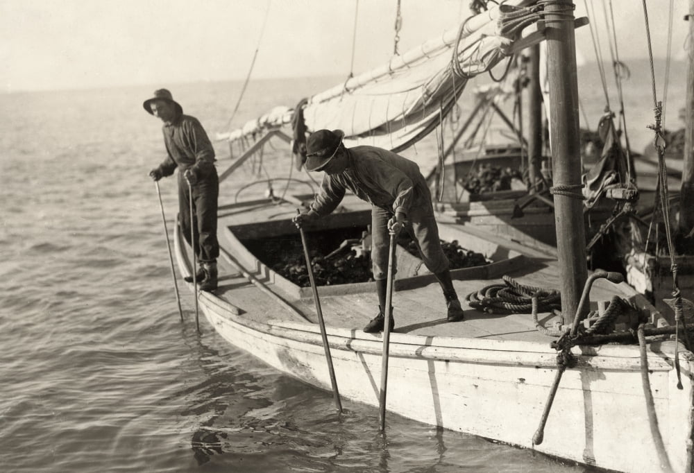 Hine Oyster Fishing 1911 Ntwo Young Oyster Fisherman Aboard An Oyster