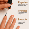 thumbnail image 6 of C CARE Milk and Honey Cuticle Oil - Instantly Repairs Moisturizes & Strengthens Nails & Cuticles - 2.5 oz, 6 of 7