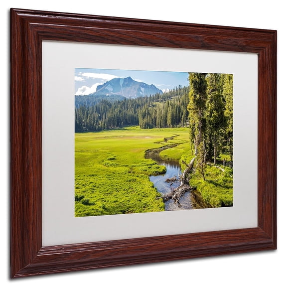 Trademark Fine Art "Lassen Meadow" Canvas Art by Pierre Leclerc, White Matte/Wood Frame
