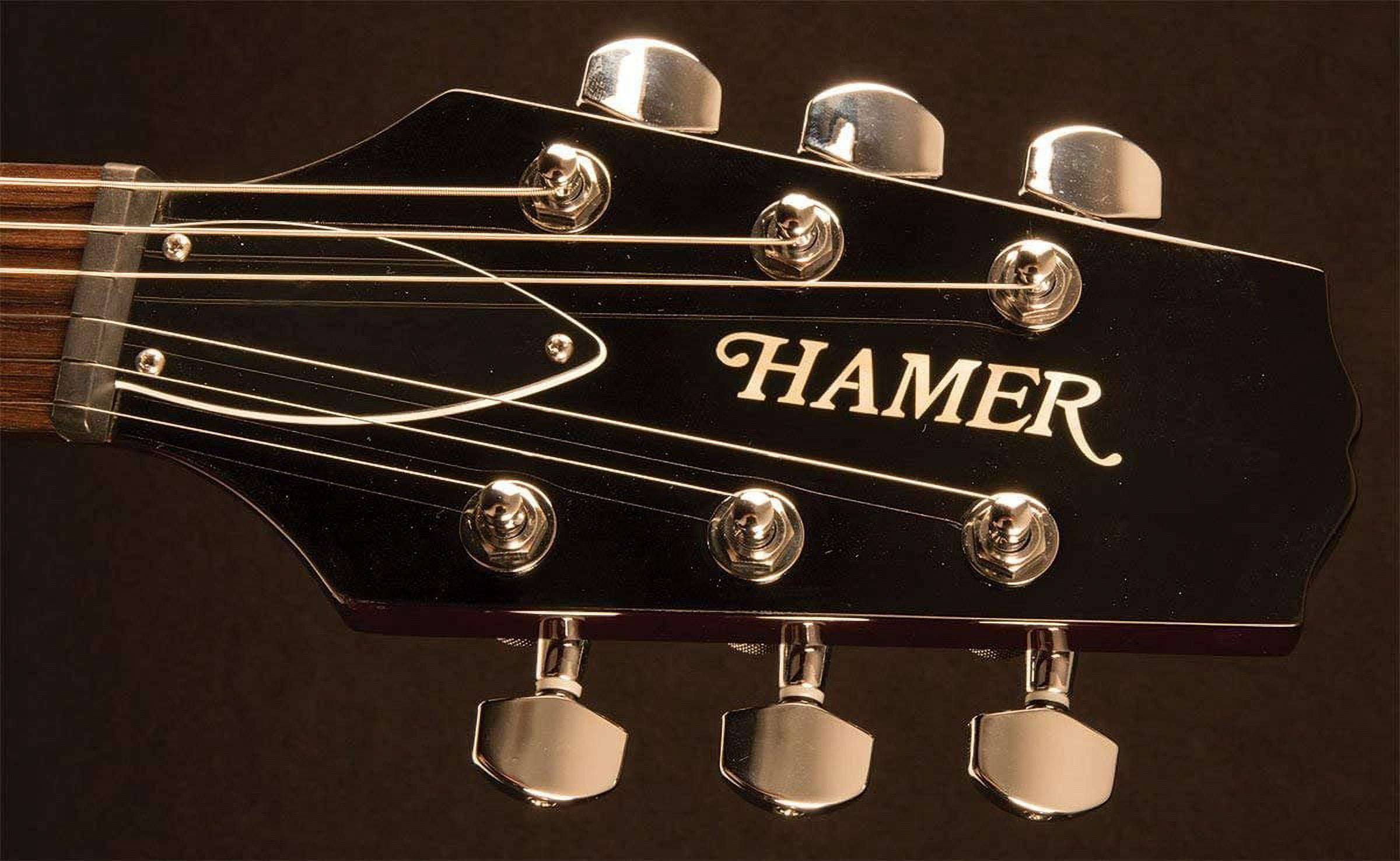 Hamer SATFW-DCB-D-U Dark Cherry Burst Double Cut Electric Guitar