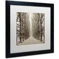 thumbnail image 2 of Trademark Fine Art Landscapes Matted Framed Art ' Hampton Gates Promenade III ' by Alan Blaustein, 2 of 4