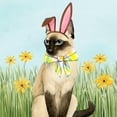 thumbnail image 3 of Popp, Grace 12x12 Black Modern Framed Museum Art Print Titled - Easter Cats II, 3 of 5