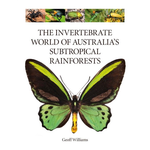 The Invertebrate World of Australia's Subtropical Rainforests, (Hardcover)