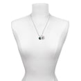 thumbnail image 3 of Delight Jewelry Silvertone Green Paw on Black Disc Silvertone Script Initial Disc - R - Charm Necklace, 20"+3", 3 of 4