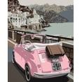 thumbnail image 2 of Kamdon Kreations 20x24 Black Ornate Wood Framed with Double Matting Museum Art Print Titled - Pink Bug in Europe, 2 of 4