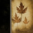 thumbnail image 3 of Poloson, Kimberly 20x20 Black Modern Framed Museum Art Print Titled - Maple Leaves III, 3 of 5