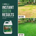 PetraTools Sprayers Green Grass Paint Lawn Paint, Lawn Colorant, Grass