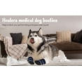 thumbnail image 3 of Healers Medical Dog Boots, Pet Apparel for Medium dogs(50-75 lbs), 2 boots & 2 Gauze Pads, 3 of 9