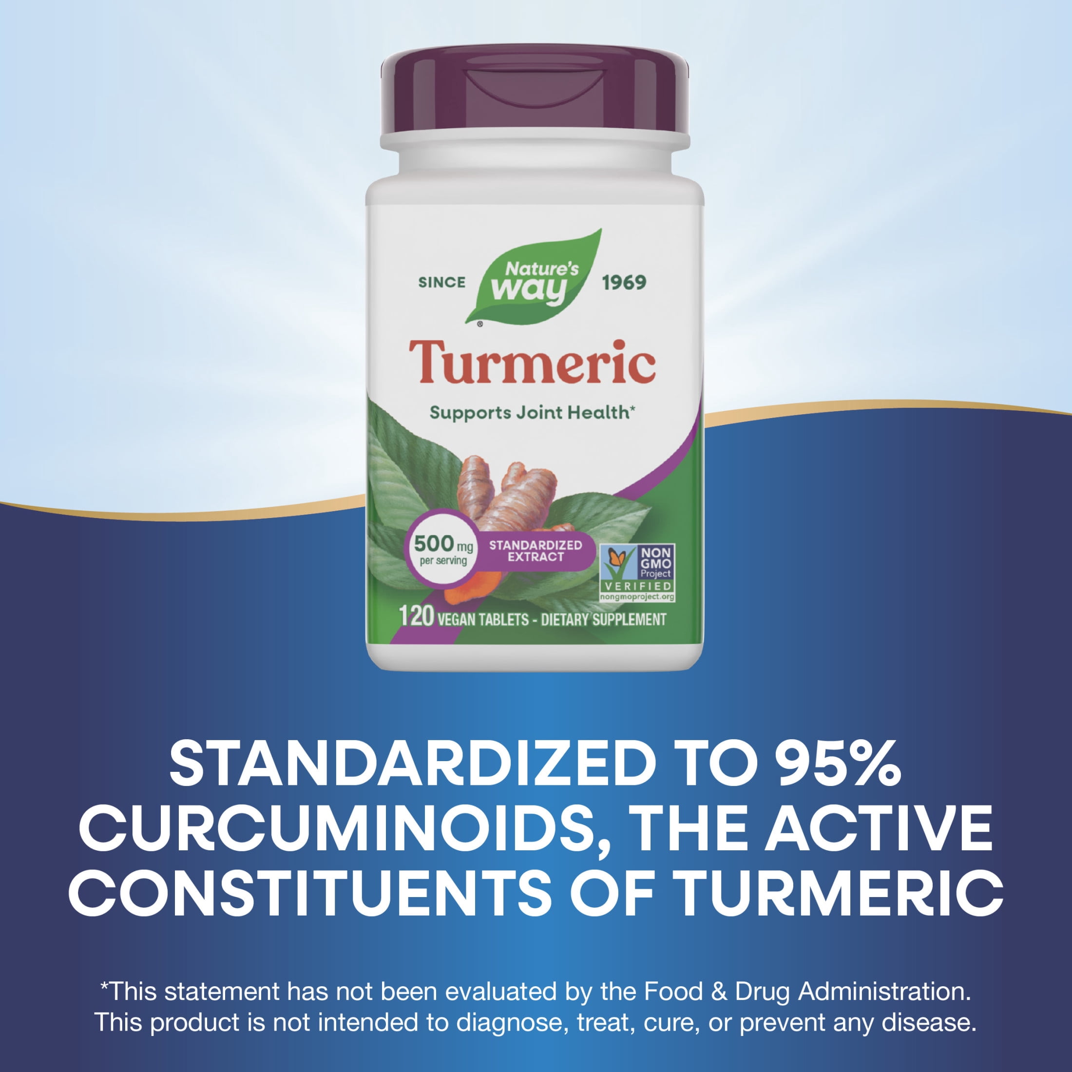 Nature's Way Turmeric Tablets, Premium Extract, Supports Joint Health*, Unisex, 120ct