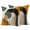 Black Orange Beige, variant on Boho Middle Century Outdoor Pillow Covers 24x24 Set of 2,Waterproof Patio Throw Pillowcase Protectors,Abstract Orange Geometric Leaves Decorative Pillow Shams Cushion Covers for Seat Bed Couch Sofa