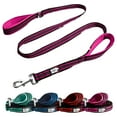 thumbnail image 1 of Correa para perros Black Rhino con Rayas Doble asa Reflectante 5 pies Rosa/azul, 1 of 3