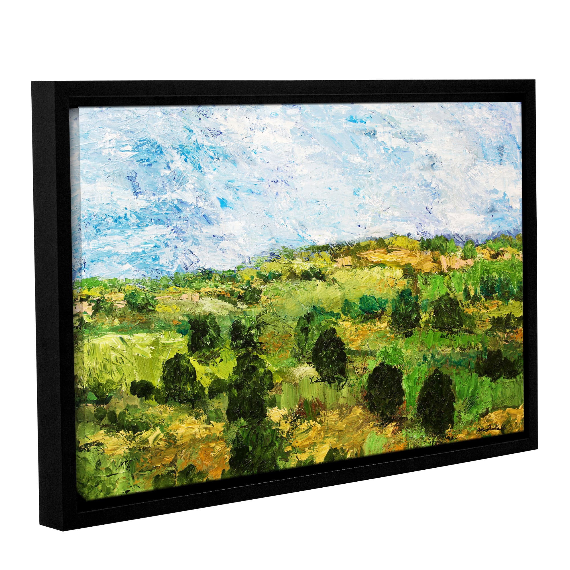 ArtWall Allan Friedlander "Just Roll Along" Gallery-wrapped Floater-framed Canvas