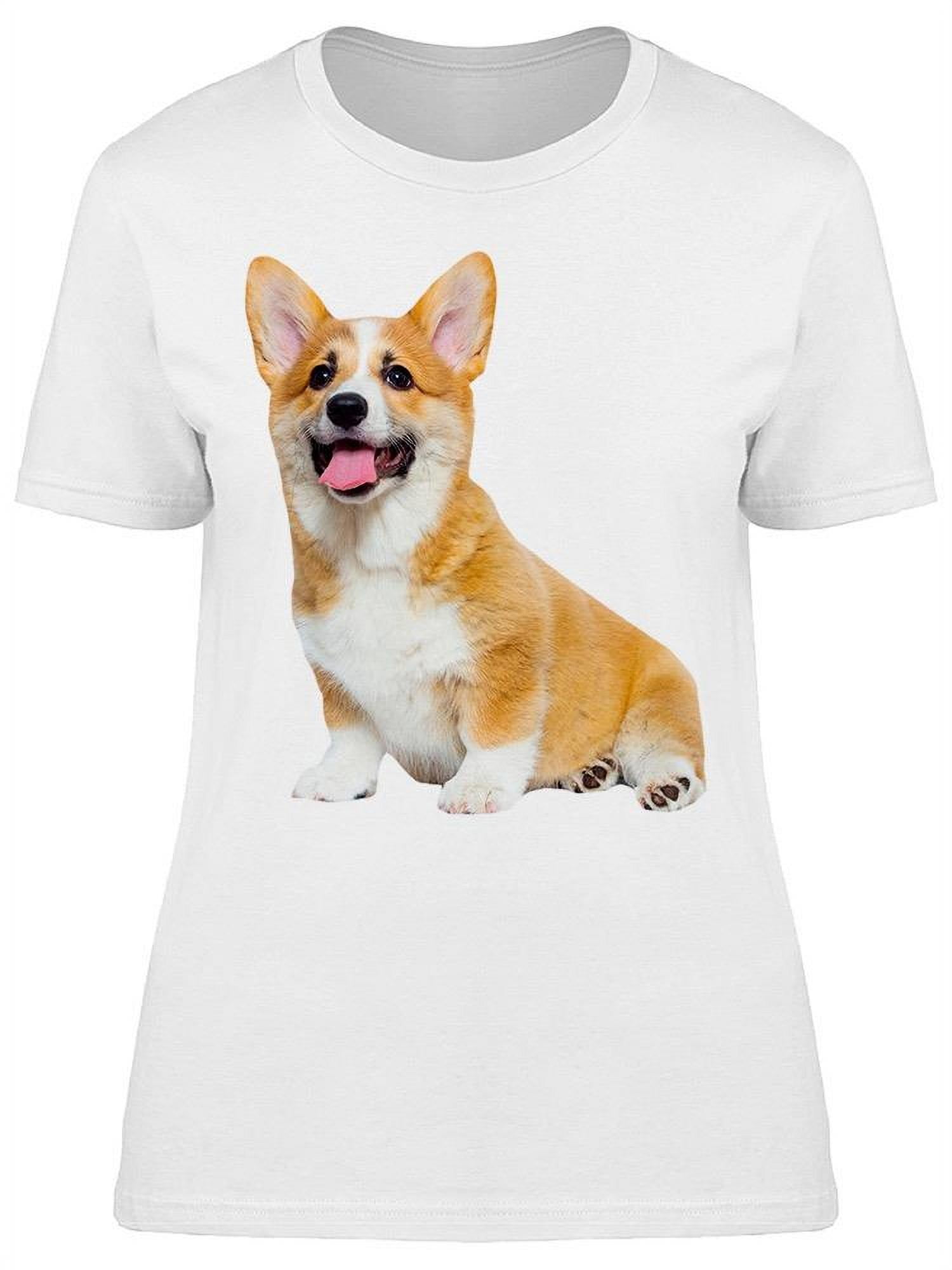 walmart corgi