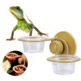 thumbnail image 1 of Reptile Feeder, Feeding Tool Reptile Hanging Feeder, With Strong Suction Cup Durable For Reptiles Pets Single Bowl,Double Bowl, 1 of 8