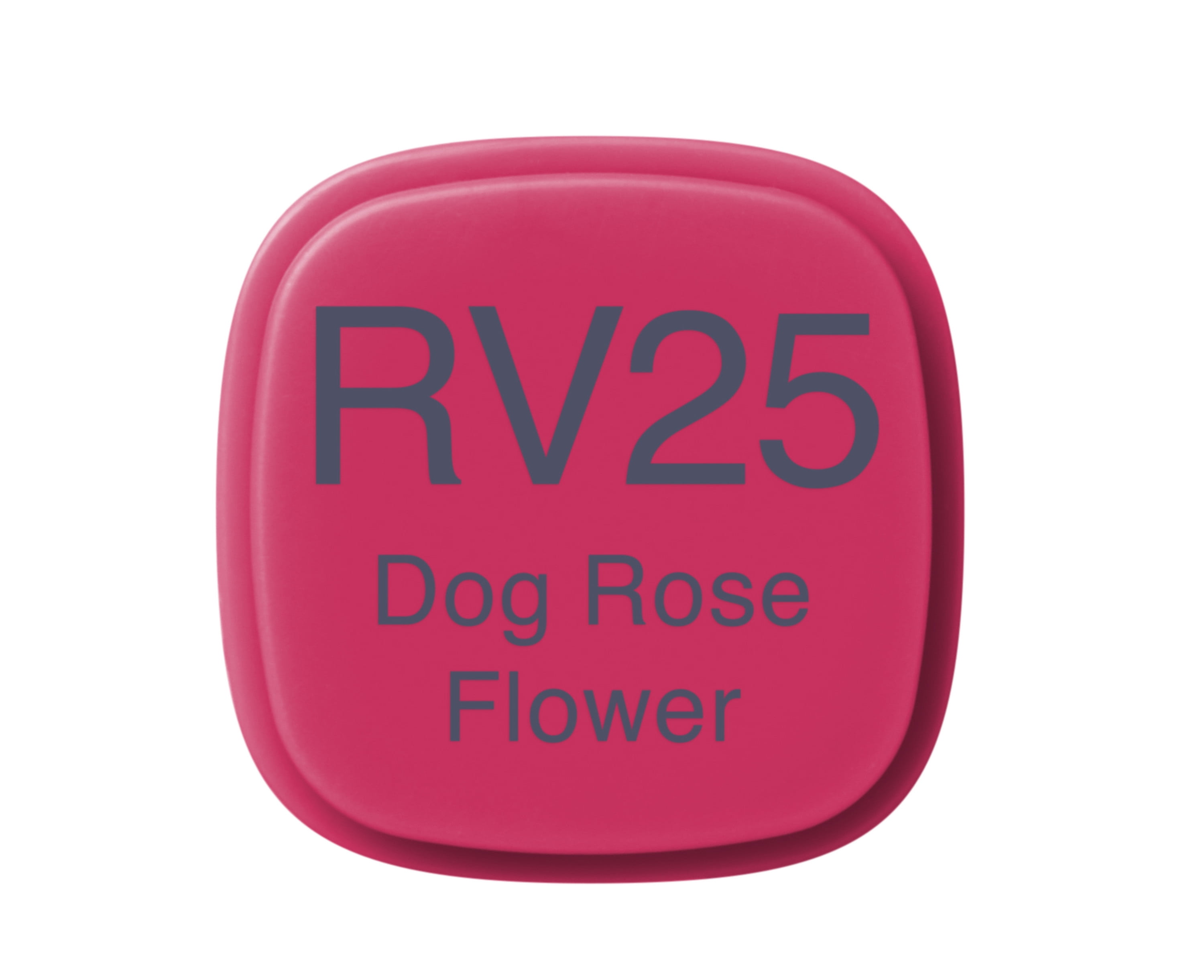 Copic Classic Marker, Dog Rose Flower