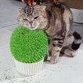 thumbnail image 1 of Comedero de catnip miwoowim con forma de cara de gato, cepillo de aseo, 1 of 6